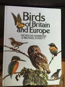 birds of britain and europe