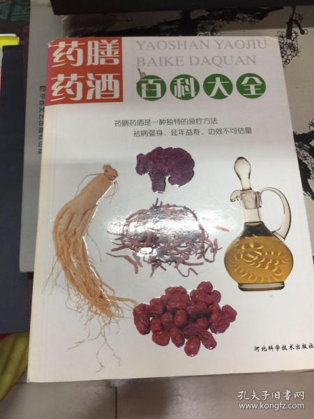 药膳药酒百科大全