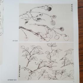 中国画名师课徒画稿·陆抑非·白描工笔重彩