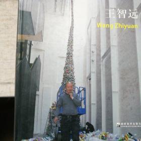 王智远