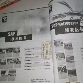 SAP应用服务器的JAVA编程