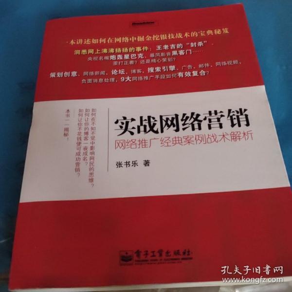 实战网络营销：网络推广经典案例战术解析