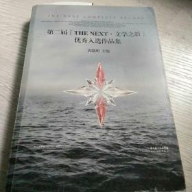 第二届“THE NEXT·文学之新”优秀入选作品集