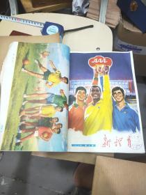 新体育 1960-1977年20本合订本