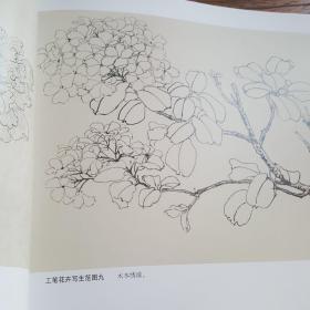 中国画名师课徒画稿·陆抑非·白描工笔重彩