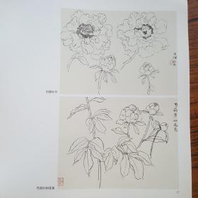 中国画名师课徒画稿·陆抑非·白描工笔重彩