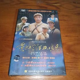 DVD 28集电视剧【霓虹灯下的哨兵】 10碟 孙海英 沈傲君 陶慧敏【全新未使用】