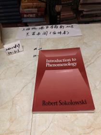 IntroductiontoPhenomenology