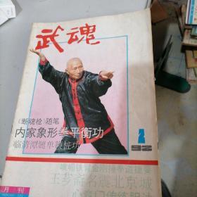 武魂杂志1992一2，7，9