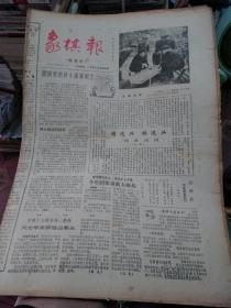 象棋报1983年创刊号——1994年终刊号存206期合售