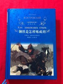 经典译林：钢铁是怎样炼成的