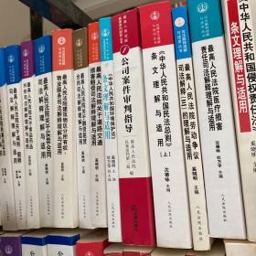 最高人民法院医疗损害责任司法解释理解与适用（司法解释与适用丛书）