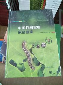 中国柞树害虫原色图谱