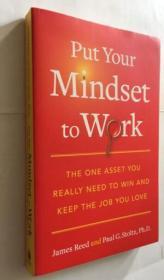 Put Your Mindset to Work 发挥您的心态   职业企划  英文原版