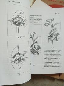 蒋彦永新版文献集 上下册