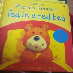 Ted in a Red Bed