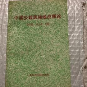 中国少数民族经济新论，