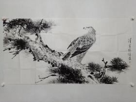 保真书画，王雪涛纪念馆馆长，中国写意花鸟画画家徐健四尺整纸国画《松鹰图》一幅。作者亲自签手印。