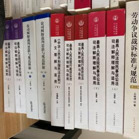 最高人民法院民事诉讼法司法解释理解与适用