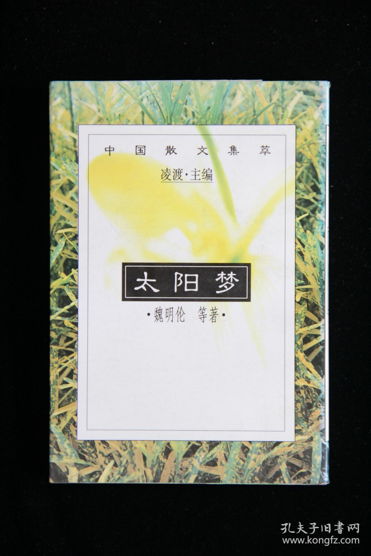 中国散文集萃.太阳梦