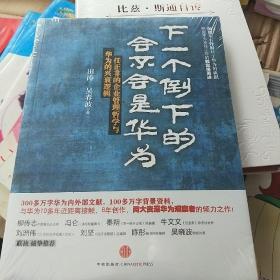 下一个倒下的会不会是华为：任正非的企业管理哲学与华为的兴衰逻辑