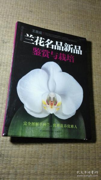 兰花名品新品鉴赏与栽培