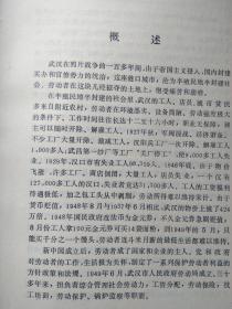 武汉劳动史志