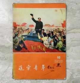 辽宁青年(1976第16期)