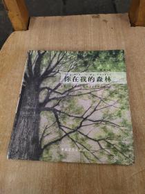 你在我的森林