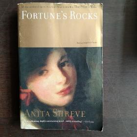 Fortune's Rocks: A Novel