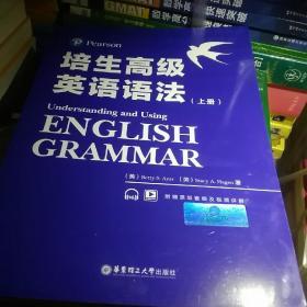 培生高级英语语法上下册（培生经典，原版引进，全球百万级销量，国外名师手把手教你学语法）