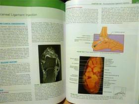 英文原版    Atlas of Pain Management Injection Techniques (Fourth Edition)     疼痛管理注射技术图集