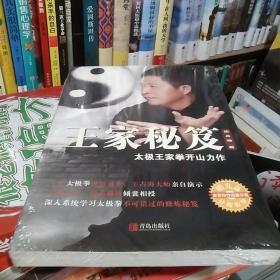 王家秘笈：太极王家拳开山力作