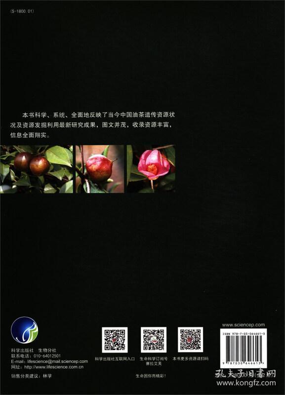 油茶种植技术书籍 中国油茶遗传资源（套装上下册） [Oil-tea Camellia Genetic Resource in China]