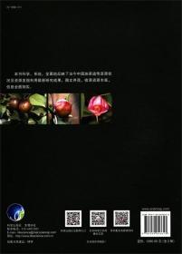 油茶种植技术书籍 中国油茶遗传资源（套装上下册） [Oil-tea Camellia Genetic Resource in China]