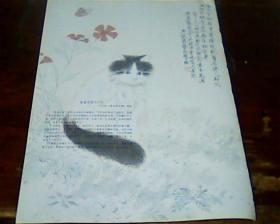 杂志美术画页  正面 赵云坚   天祝神仙 背面 于非阁  猫蝶图