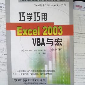 巧学巧用Excel 2003 VBA与宏（中文版）