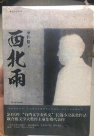 后浪正版 西北雨 童伟格 当代文学史经典山村乡土长篇小说书籍 联合报文学获得主短篇小说集