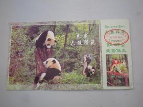 门票，卧龙大熊猫苑