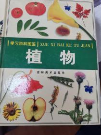 学习百科图鉴 植物