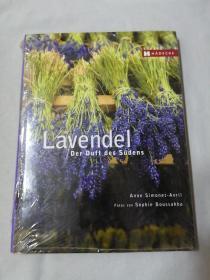 HADECKE Lavendel（哈迪克 薰衣草）