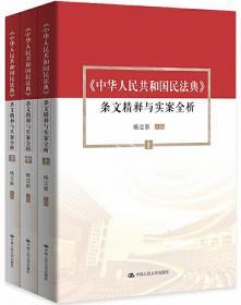 《中华人民共和国民法典》条文精释与实案全析（上中下）