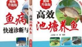 池塘养鱼技术大全草鱼鲤鱼鳙鱼鲢鱼鲫鱼淡水鱼养殖技术