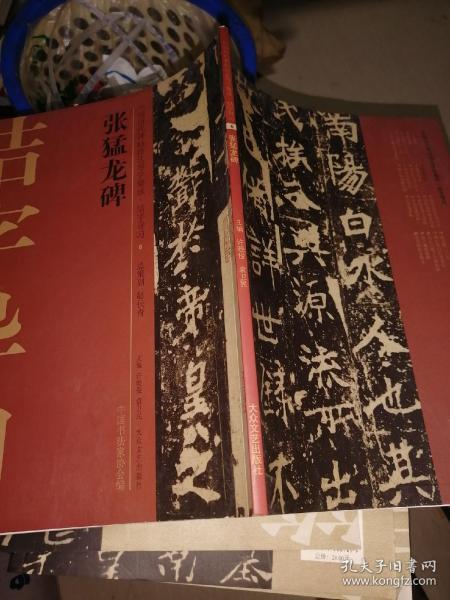 中国历代碑帖技法导学集成·结字导习（6）：张猛龙碑