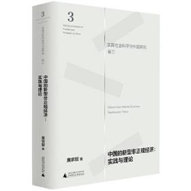 中国的新型非正规经济：实践与理论（实践社会科学与中国研究