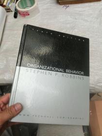 Organizational Behavior