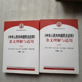 中华人民共和国民法总则 条文理解与适用（套装上下册）