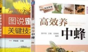 中蜂养殖技术视频教程 中蜂育种养王 中蜂病虫害防治9光盘6本书籍