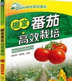 CCTV7农业大棚茄子芹菜西葫芦种植栽培技术大全8光盘3书 正品