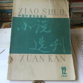 小说选刊1985——12